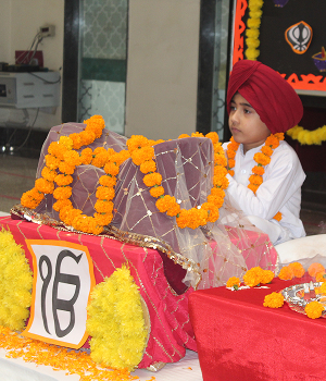 Co-curricular programs for early childhood